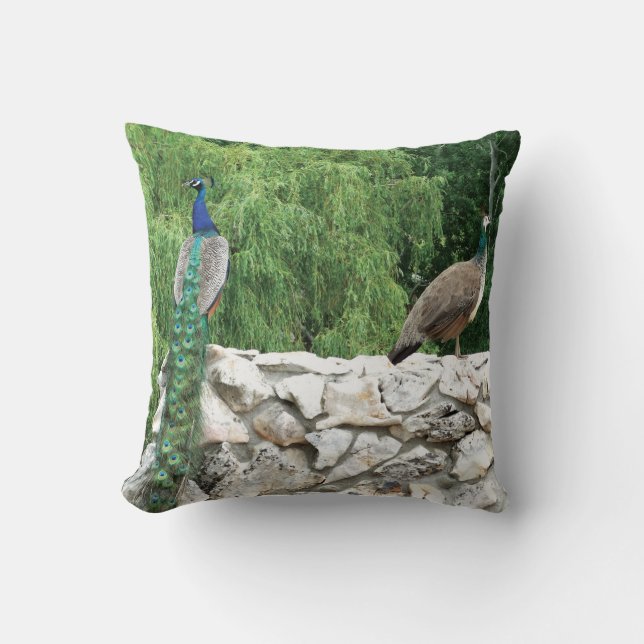 Coussin Peacock dans la photographie de jardin Jeter Couss (Recto)