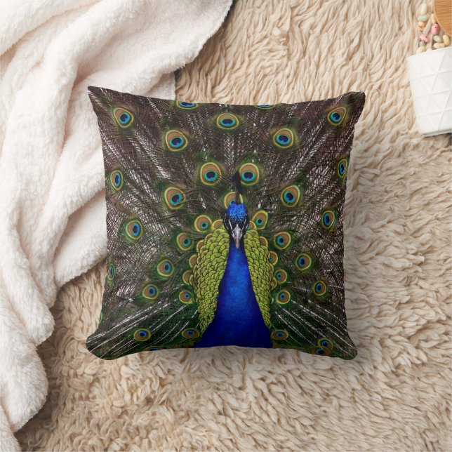 Coussin Peacock de couleur solide (Couverture)