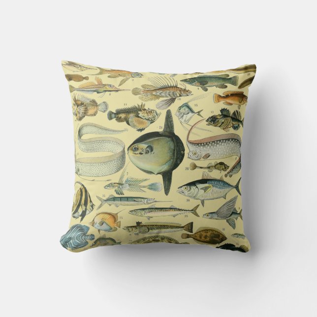 Coussin Pêche scientifique vintage (Recto)