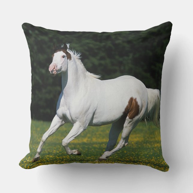Coussin Peignez le cheval fonctionnant dans le domaine (Recto)
