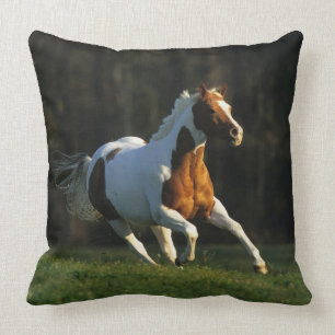 Coussin Peignez le cheval fonctionnant rapidement