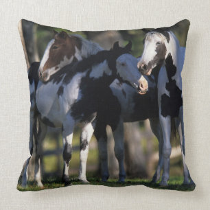 Coussin Peignez les chevaux
