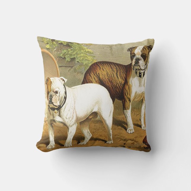 Coussin Peinture vintage des bouledogues anglais (Recto)