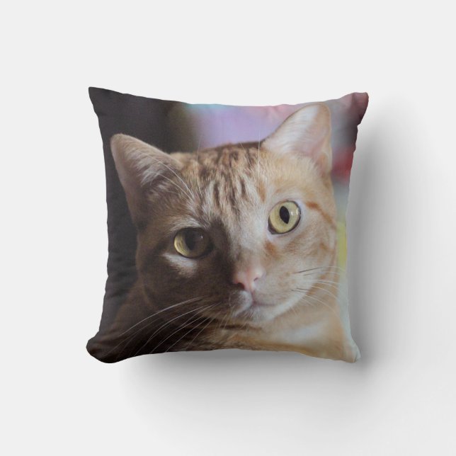 Coussin Penny (Recto)