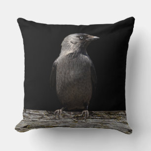 Coussin Perché sur un corbeau de clôture