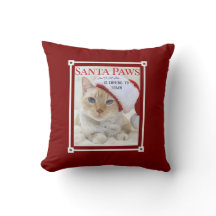 Père Noël Paws Vient À Noël