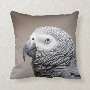 Coussin Perroquet de gris de gris africain du Congo de
