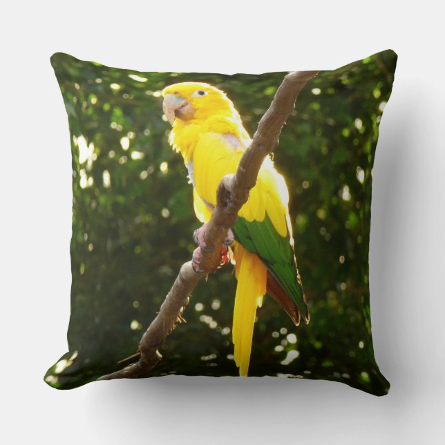 Coussin Perroquet jaune (Recto)