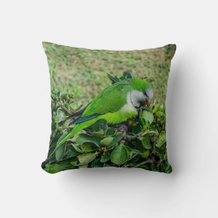 Coussin Perroquet vert