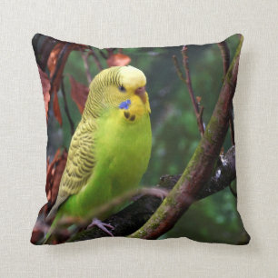 Coussin Perruche