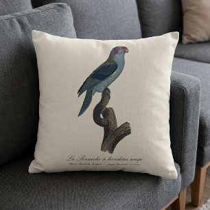 Coussin Perruche a bandeau rouge / Musk Lorikeet