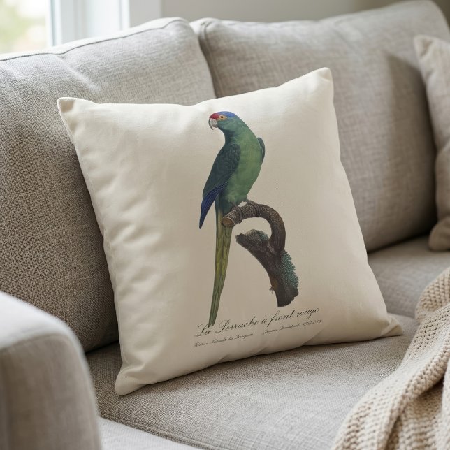 Coussin Perruche à front orange, Eupsittula Canicularis (Orange-Fronted Parakeet, Eupsittula Canicularis. Throw Pillow)