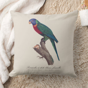 Coussin Perruche a tete bleue, femelle / Rainbow lorikeet,
