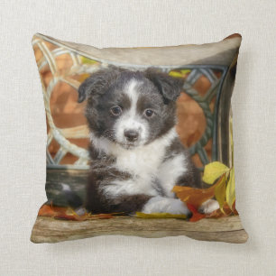 Coussin Petit Chien-Chien-Chien-Chien-Chien-Chien-Chien-Ch