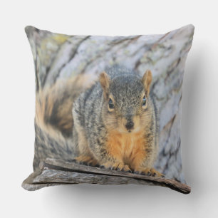 Coussin Petit écureuil