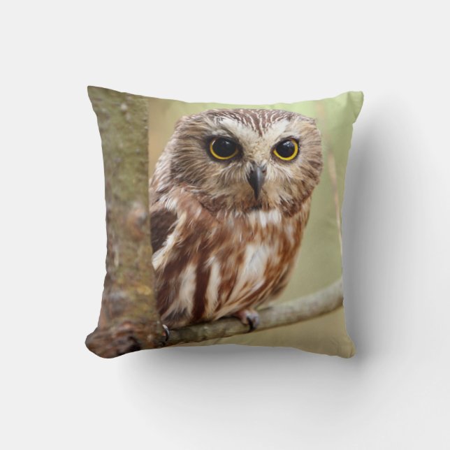 Coussin Petit hibou de bébé | Ontarios (Recto)