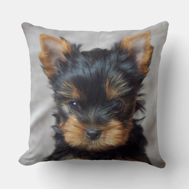 Coussin Petit yorkie (Recto)