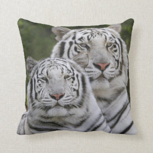 Coussin Phase blanche, Tigre du Bengale, Tigre du Tigre, T