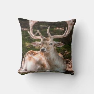 Coussin photo cerf sous les bois throw pillow