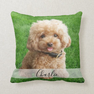 coussin photo complet personnalisé pour animaux de