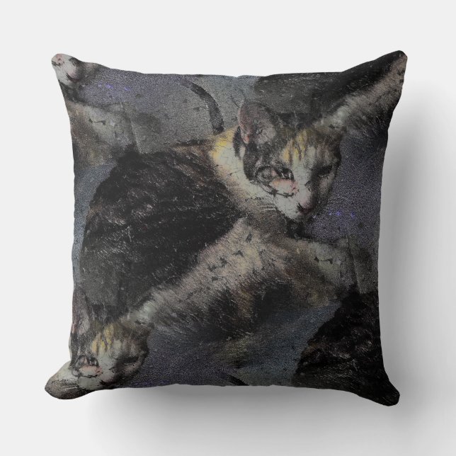 Coussin Photo de chat avec effec trough (Recto)