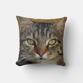 Coussin Photo de chat tigre gris avec arrière - plan foncé