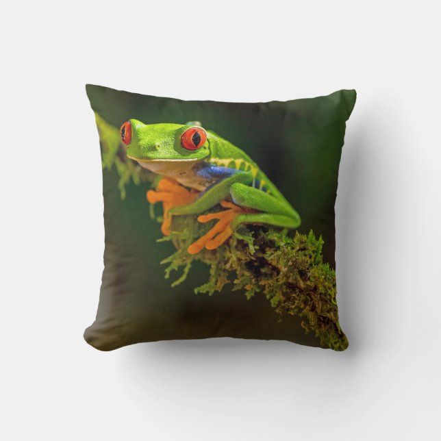 Coussin Photo de grenouille à arbre rouge (Recto)