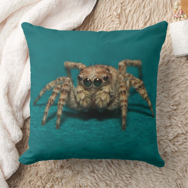 Coussin Photo de l'araignée de la nature (Couverture)