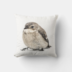 Coussin Photo de petit oiseau brun de jardin