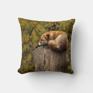 Coussin Photo de renard endormi