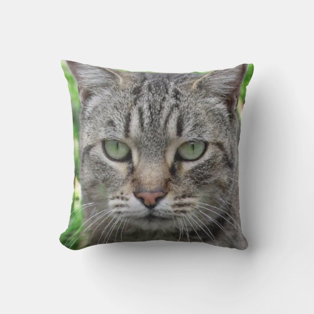 Coussin Photo du merveilleux chat tigre - amoureux de les  (Recto)