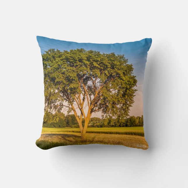 Coussin photo d'un arbre dans un champs. (Recto)