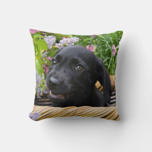 Coussin Photo d'un chien de marionnette de l'équipe de rec