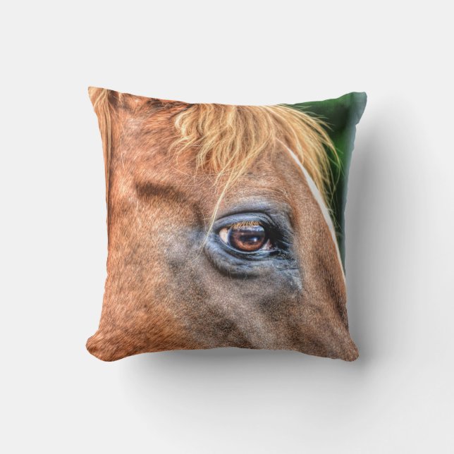 Coussin Photo équine du Cheval de Châtaignes (Recto)