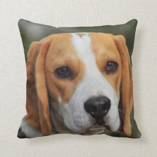 Coussin Photo faite sur commande de chien de beagle