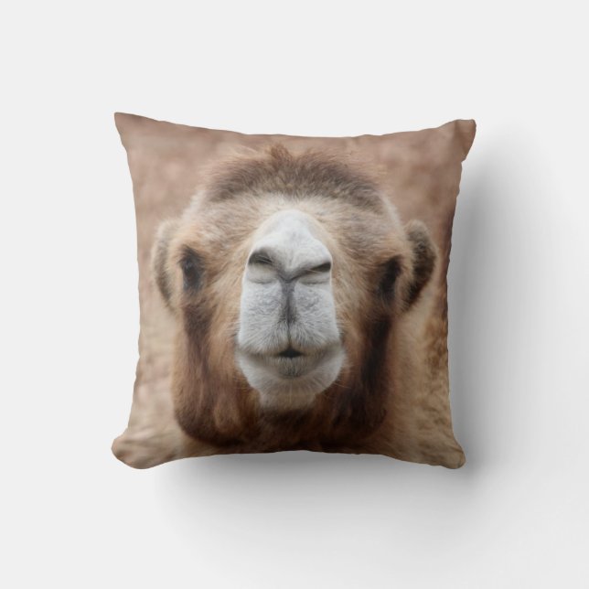 Coussin Photo idiote de chameau (Recto)