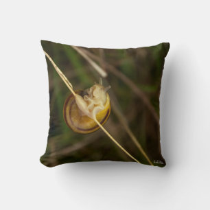 Coussin photo insecte dans coquille throw pillow