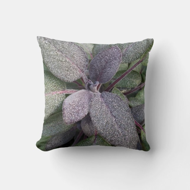 Coussin Photo moderne d'herbe de jardin de sauge pourpre (Recto)