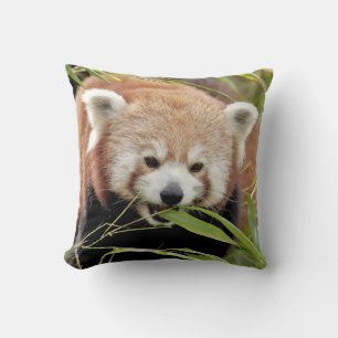 Coussin photo panda rouge.