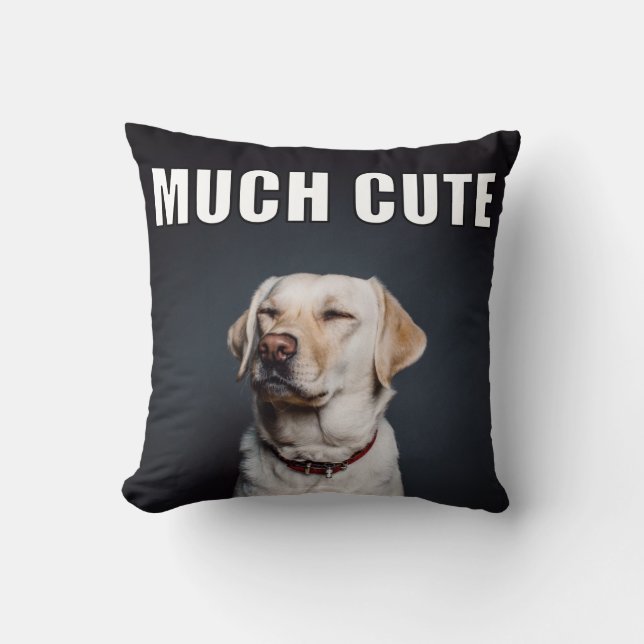 Coussin Photo Personnalisée Pour Animaux De Compagnie Drôl (Recto)