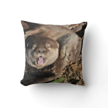 Photo somnolente de loutres