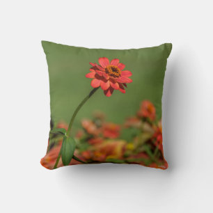 Coussin photo une fleur rouge.