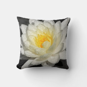 Coussin Photo White Water Lily