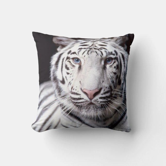 Coussin Photographie blanche de tigre de Bengale (Recto)
