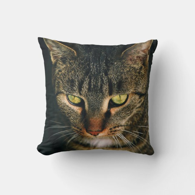 COUSSIN PHOTOGRAPHIE COMPLÈTE DE TABY GRIS CAT (Recto)