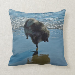 Coussin Photographie de ballet de Keeshond - art original