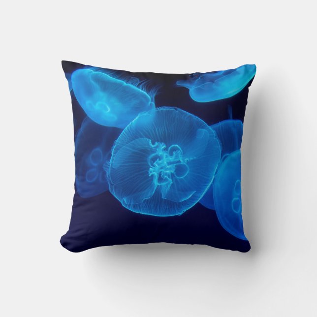 COUSSIN PHOTOGRAPHIE DE CLOSEUP DE SWARM DE JELLYFISH (Recto)