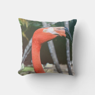 Coussin Photographie de closeup d'oiseau rouge à long cou