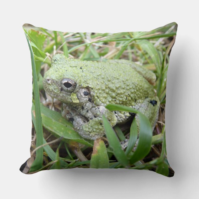 Coussin Photographie de la nature du Gris oriental (Recto)