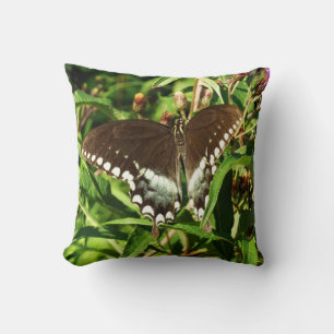 Coussin Photographie de la nature du papillon Papilio noir